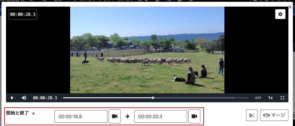 画面キャプチャ：字幕編集ダイアログ内の字幕表示時間