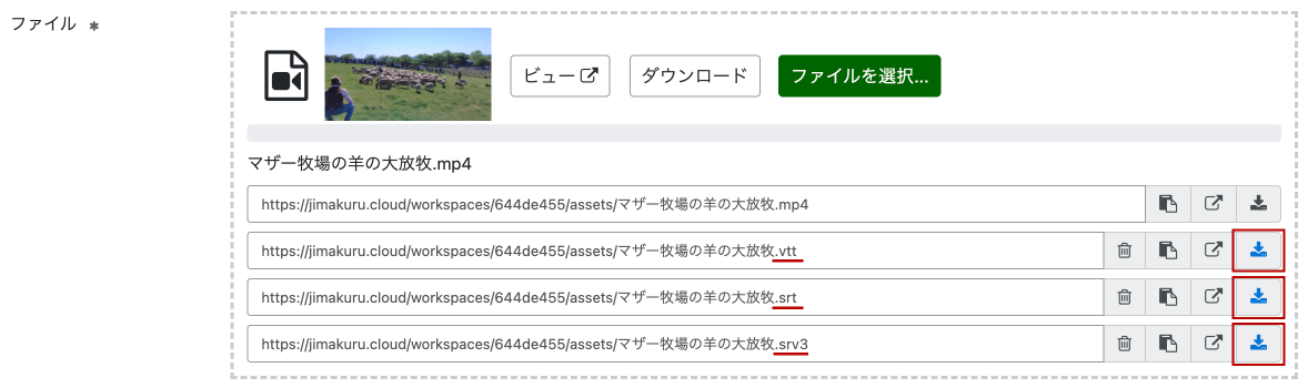 画面キャプチャ：字幕ファイル一覧
